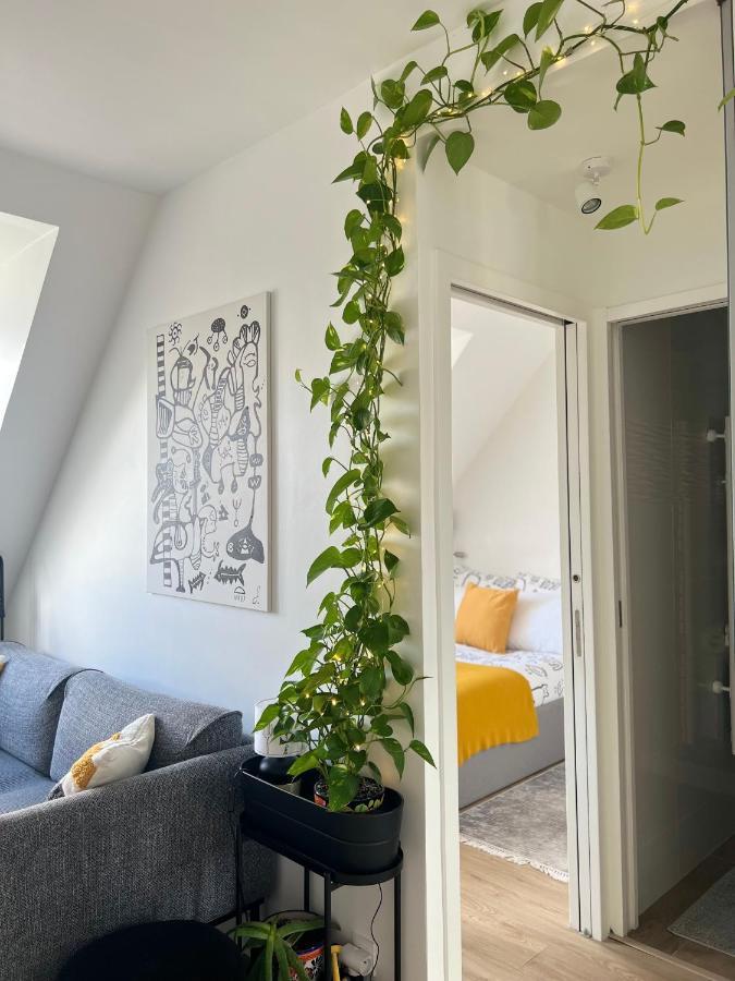 5 Stars 2-br In Center , Air Conditioner , Elevator *